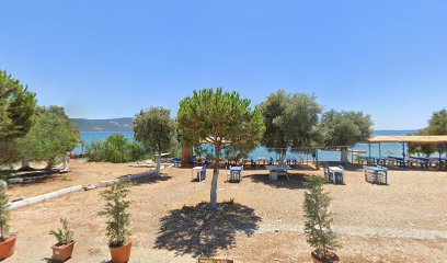 MC Ailesi Karavan Park